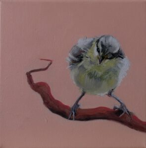 Birdie VI, oil on canvas, 20 x 20 cm
